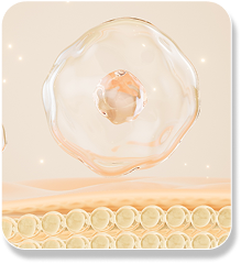 슬라이더 이미지 2